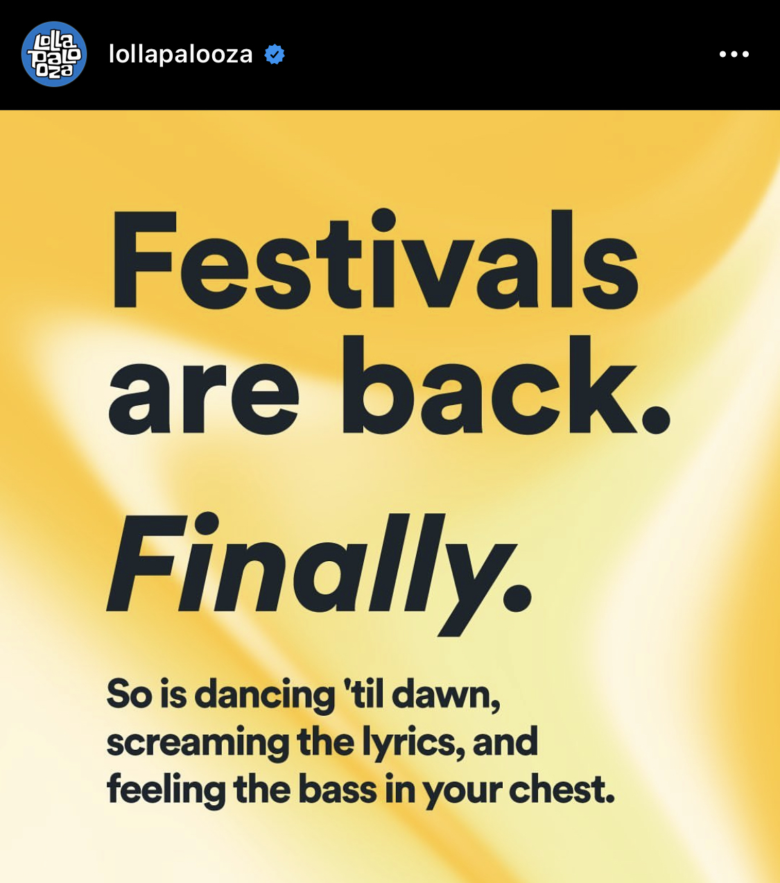 lollapalooza_finally